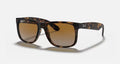 HOT Products Ray-Ban Justin Sunglasses