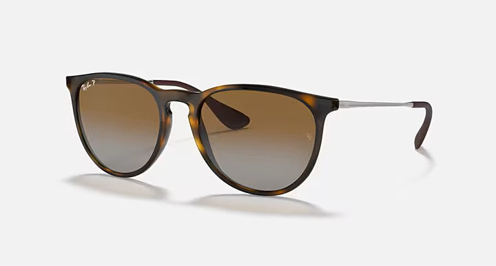 HOT Products Ray-Ban Erika Sunglasses