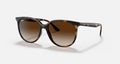 HOT Products Ray-Ban RB4378 Sunglasses