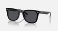 HOT Products Ray-Ban RB4420 Sunglasses
