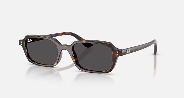 HOT Products Ray-Ban Zuri Bio-Based Sunglasses