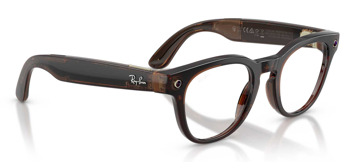 Ray-Ban Scriber Optics RW7002