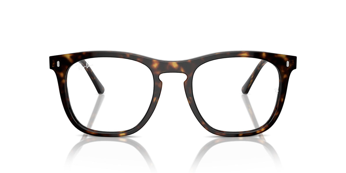 Ray-Ban RB2210V