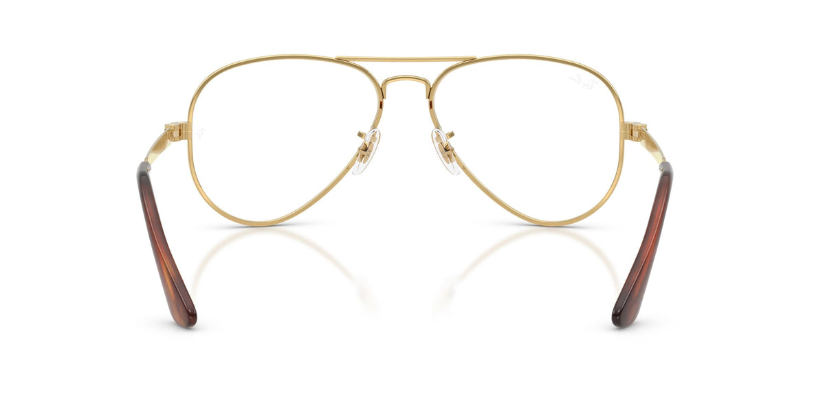 Ray-Ban Aviator Max RB3925V