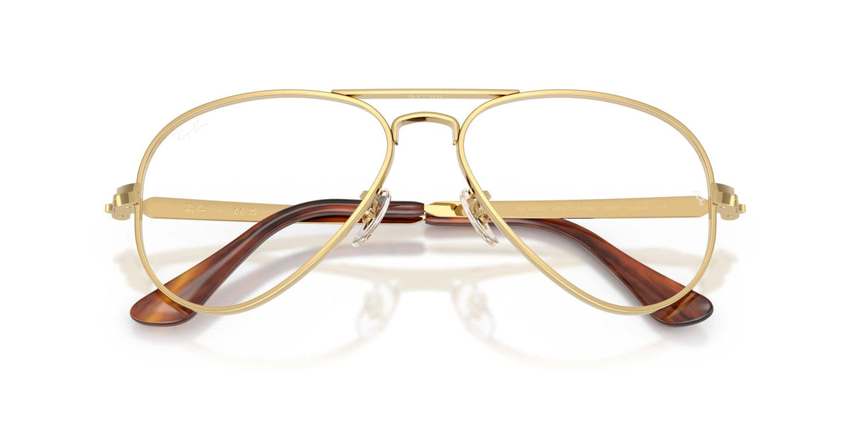 Ray-Ban Aviator Max RB3925V