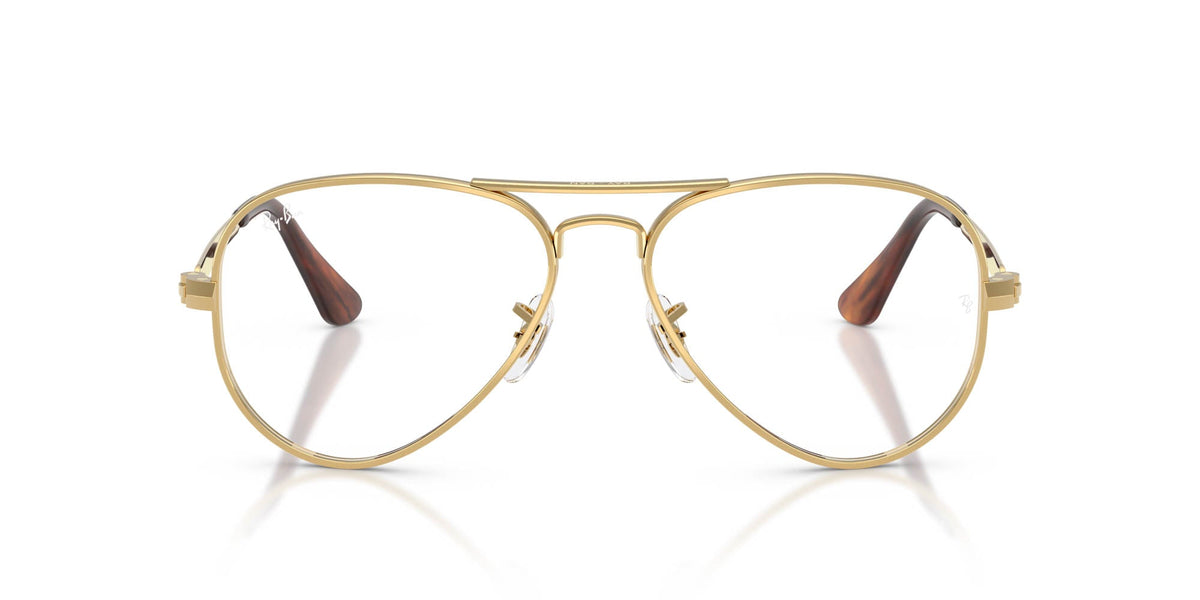 Ray-Ban Aviator Max RB3925V