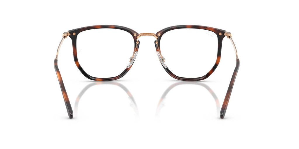 Ray-Ban RB4451V