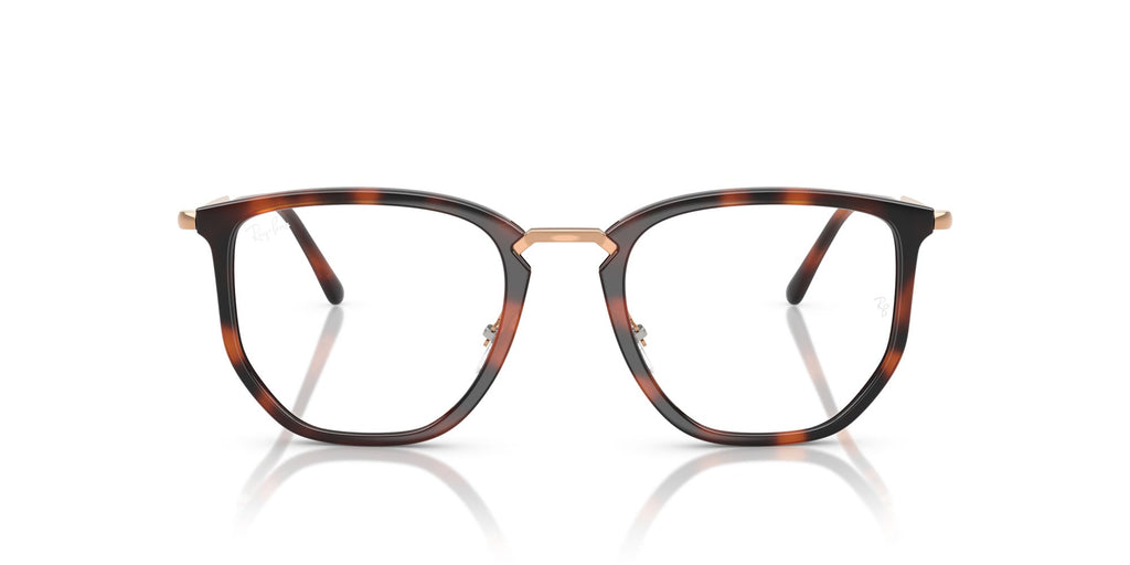 Ray-Ban RB4451V