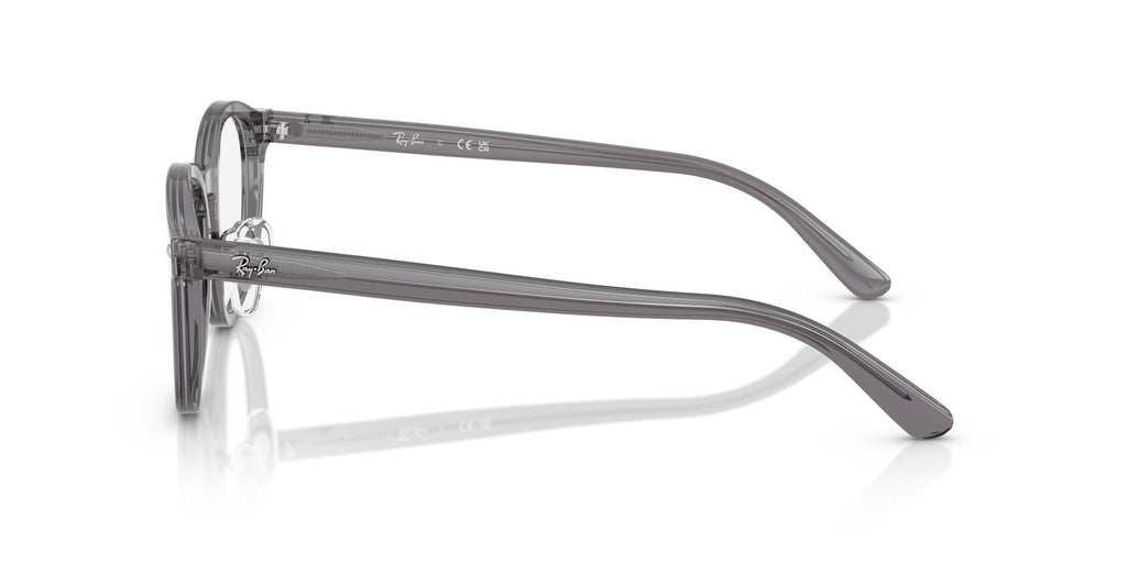 Ray-Ban RB5443D