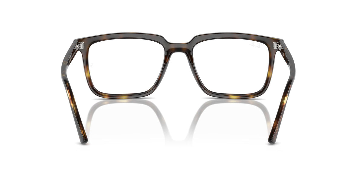 Ray-Ban Alain RB7239