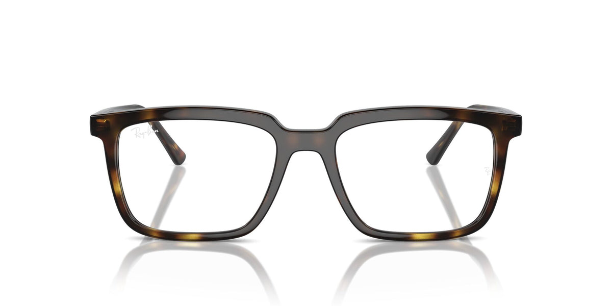 Ray-Ban Alain RB7239
