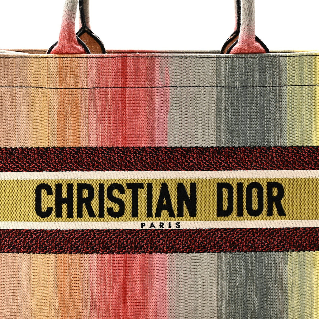 Canvas Embroidered Medium Dioraura Book Tote Multicolor