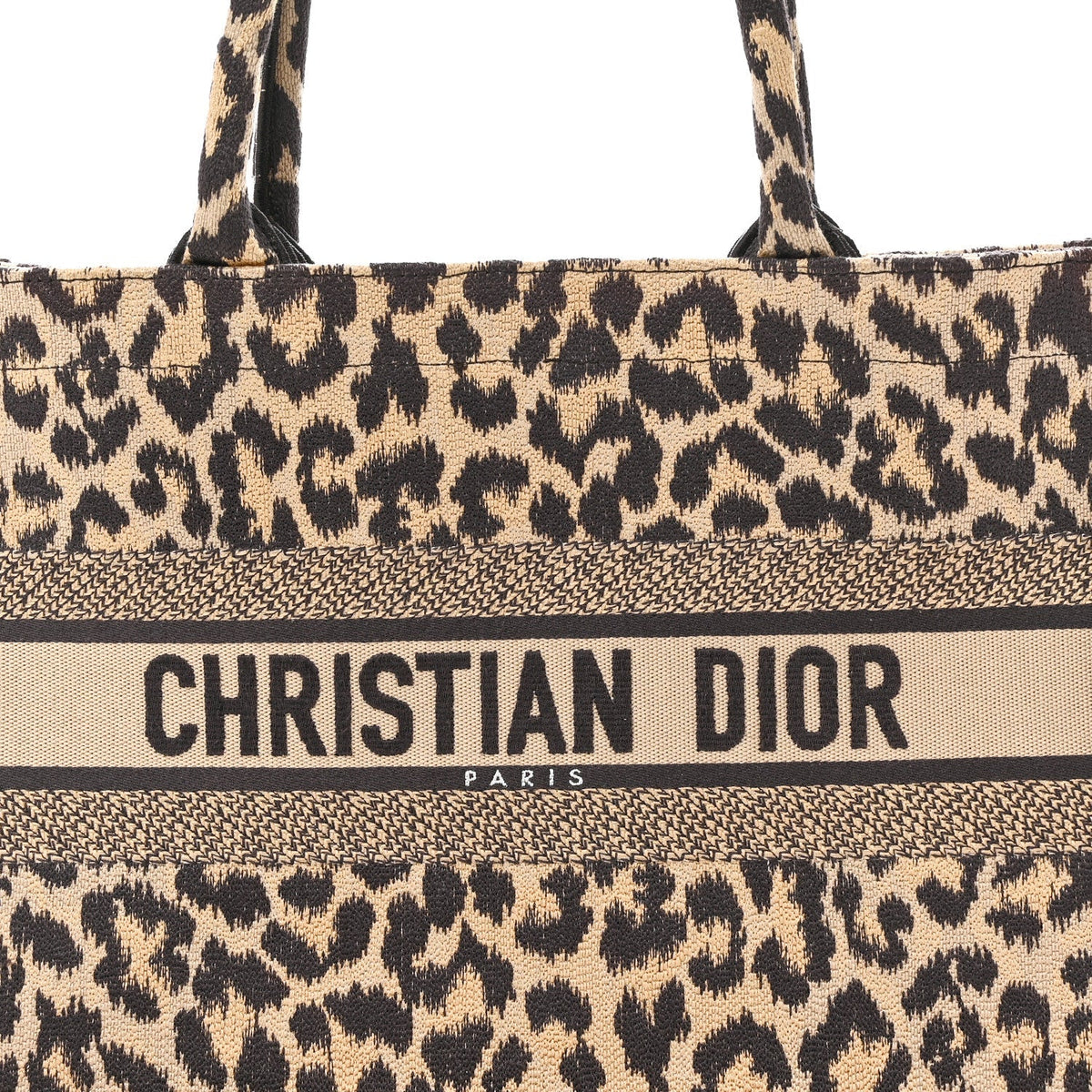Canvas Mizza Embroidered Medium Leopard Book Tote Beige