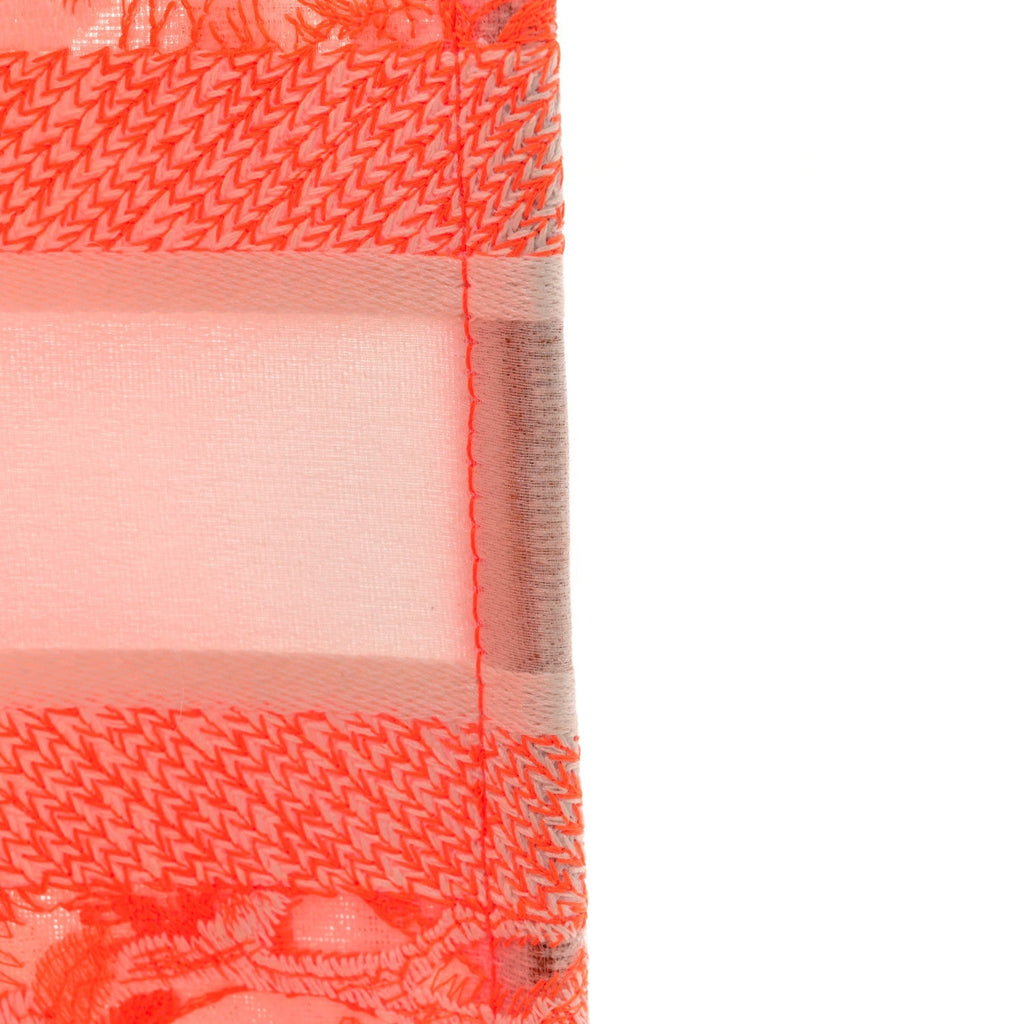 Transparent Canvas Embroidered Medium Dioriviera Toile De Jouy Book Tote