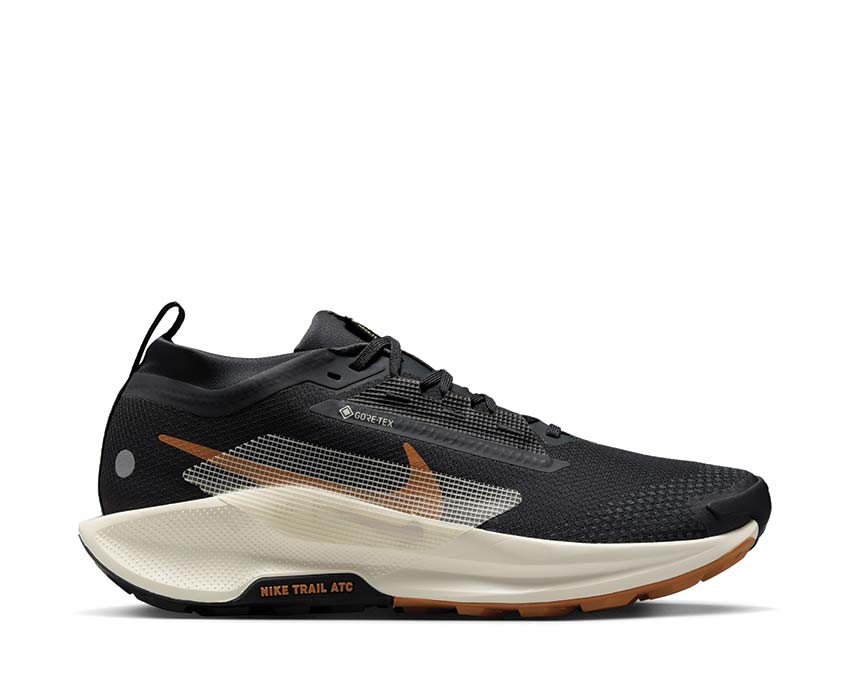 Nike Pegasus Trail 5 GTX