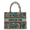 Raffia Embroidered Dioriviera Medium Book Tote Aquamarina